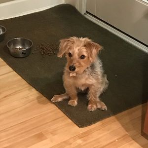 Meet your Posher, Gwen